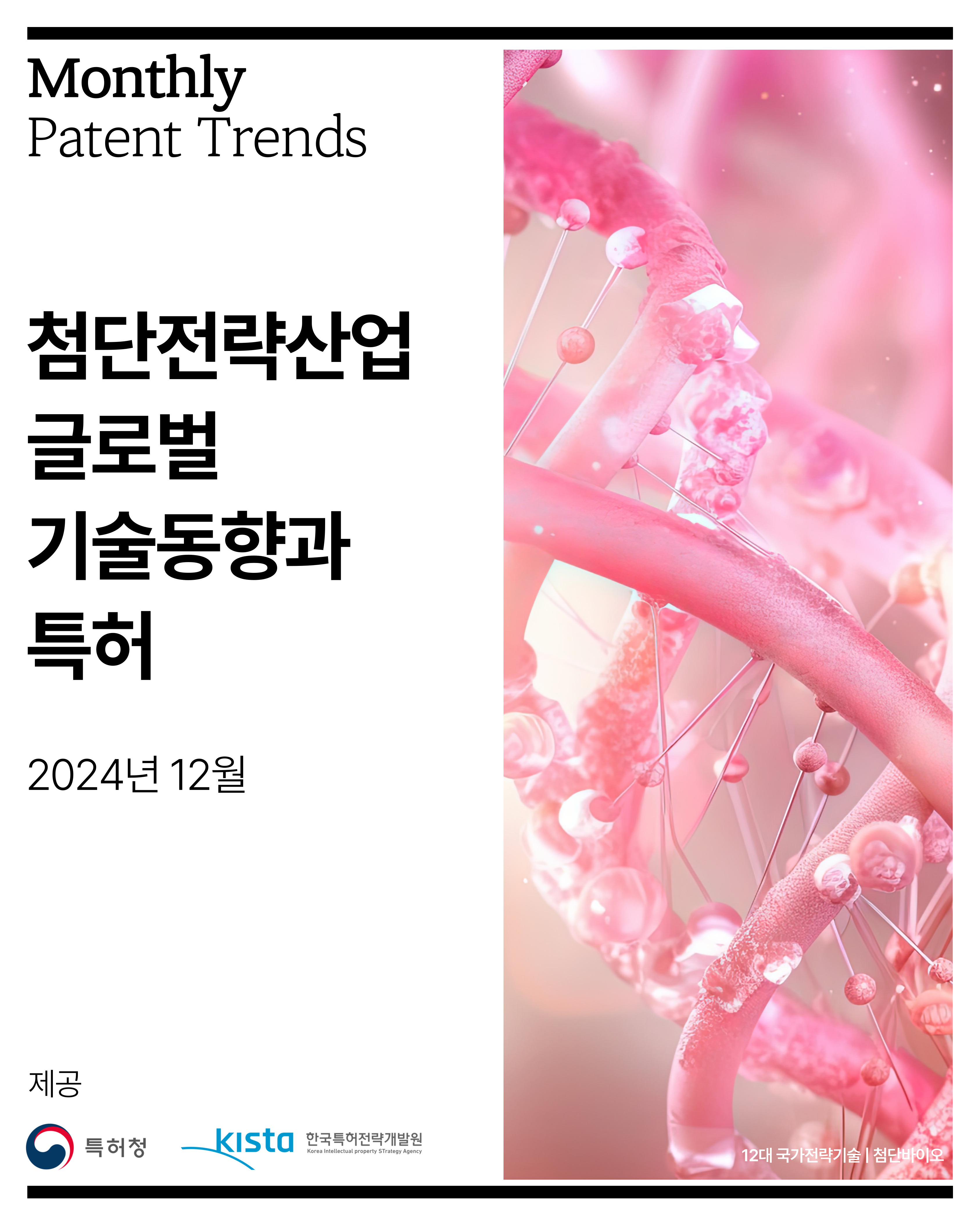 첨단전략산업 글로벌 기술동향과 특허('24년 12월)